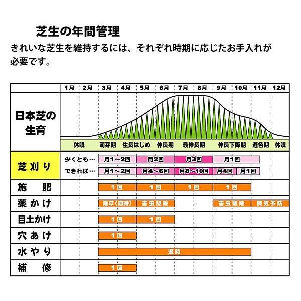手動芝刈機 キンボシ Livtecリブテック 芝刈機 キンボシ ブリティッシュモアー Diy 工具 おまけ付き Gfb 2500dx