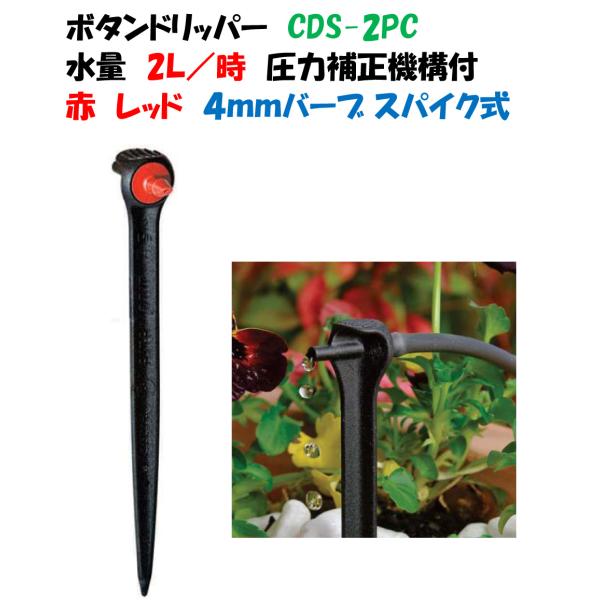点滴ノズル ボタンドリッパー スパイク式 CDS-PC2 2L/時 赤 レッド 圧力補正機構付 点滴ノズル アクシオドリッパー