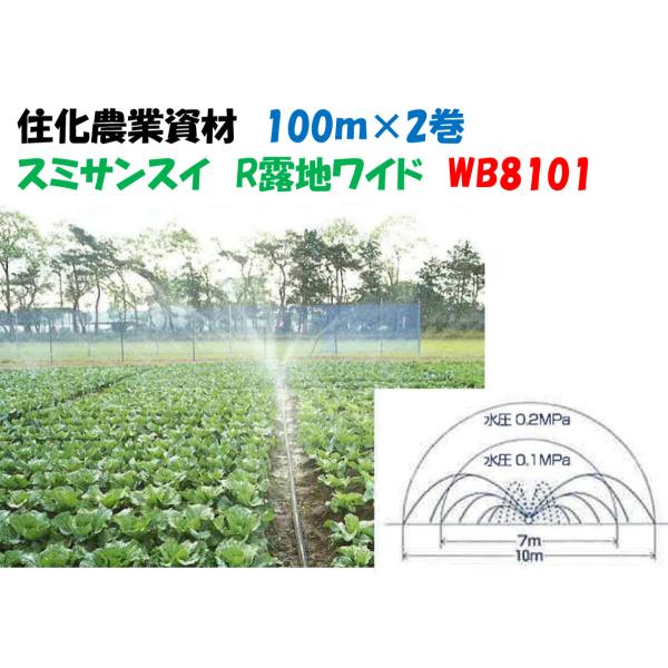 a-green_wb8101