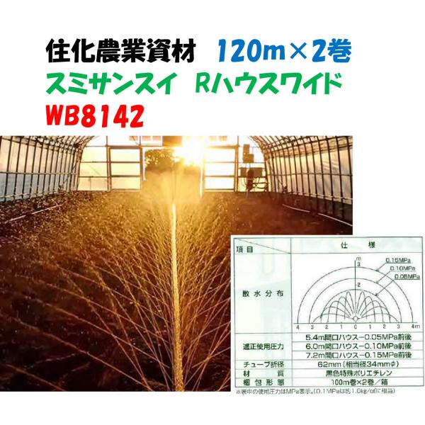 a-green_wb8142
