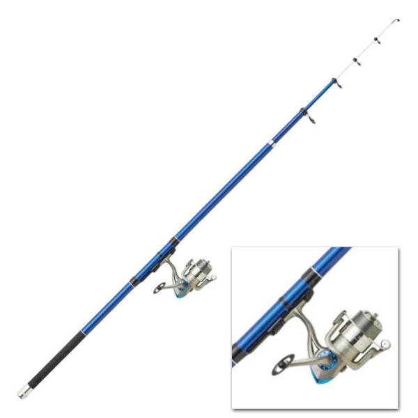 真面目な ライド 魅惑する プロ マリン 釣竿 脇に オークランド 日記