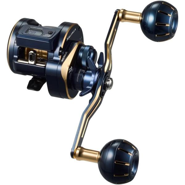 DAIWA（ダイワ） 00631545 21 ソルティガIC 100HL-DH (299940) 両軸