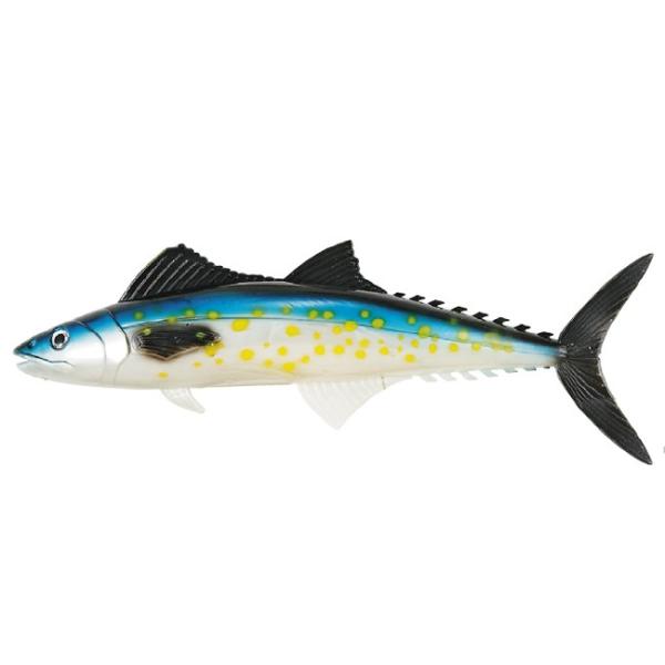 �yNAKAZIMA/�i�J�W�}�z���A���[�� �t�B�b�V���V���[�Y �T���� 6202 062021 NPK6202 ���[�� ���A�����[�� ���A�[