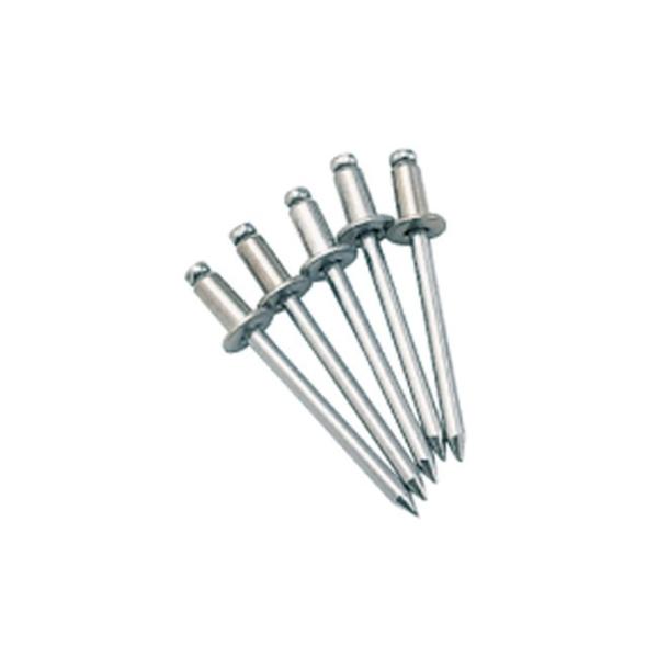 (REGARMARINE/K[}) XeXwbh NO.7723 100{  XgbNXp[c