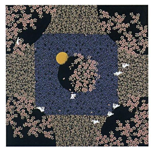 ȏӂ낵@s41-4@ij@@C~@@ʂ