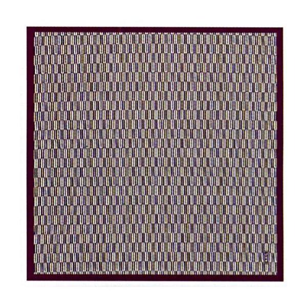  ӂ낵@s42-9@HiGWj@@C~@@ʂ