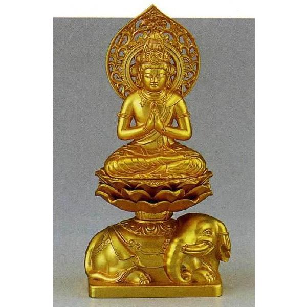 \O@F   76-54@qc G_@̊ԁ@u@@@