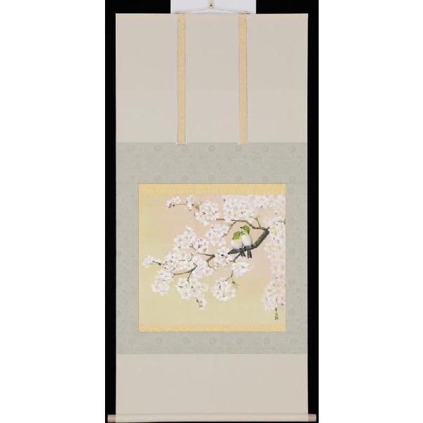 掛け軸 桜花 井上清治 美術年鑑掲載作家 掛軸 : 古都-京都 掛け軸専門
