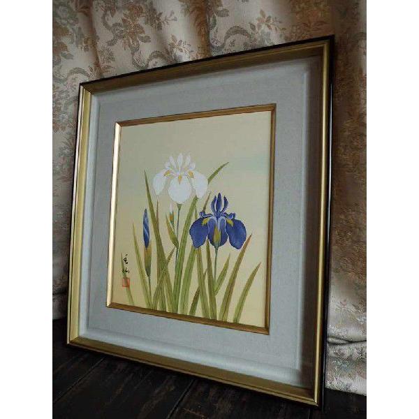 飯島香仙 菖蒲 日本画 肉筆 絵画 色紙 : 古都-京都 掛け軸専門店文永堂