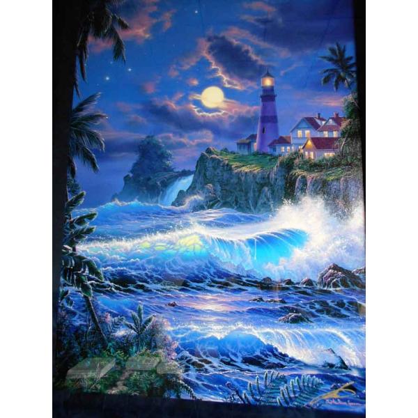 版画 クリスチャン リース ラッセン ムーンライトセレニティ キャンバスエディション 絵画 全国送料無料 Buyee Buyee Japanese Proxy Service Buy From Japan Bot Online