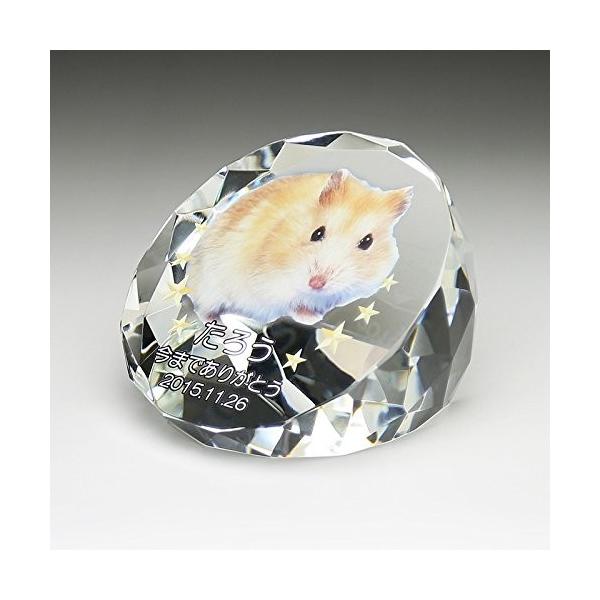 ʔv@ybgANX^J[^Cvkp-21u ybgALOi KẌʔv