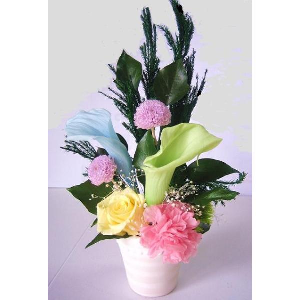 ԁ@vU[uht[vU[uht[///vU/͂Ȃ/vU[uh/䕧O//䋟/ފ//l\/