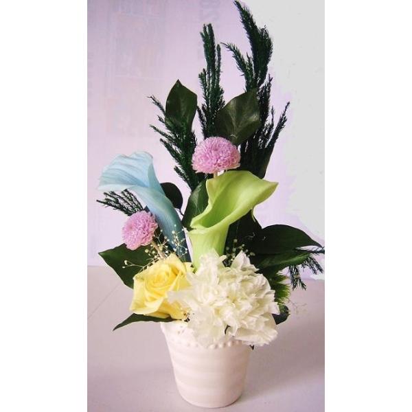 ԁ@vU[uht[vU[uht[///vU/͂Ȃ/vU[uh/䕧O//䋟/ފ//l\/