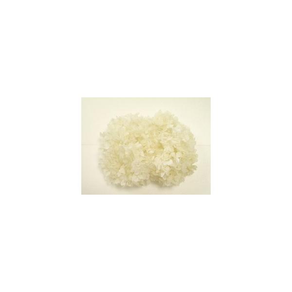 大地農園　ソフトゆめアジサイヘッド　２輪　オフホワイト　ソフトゆめアジサイ・ヘッド　オフホワイト (2輪入り) どこよりも早く入荷この商品は資材10500円以上で送料無料です。ご注意ください。(用途)手作り レッスン おけいこ 小分け 少量...