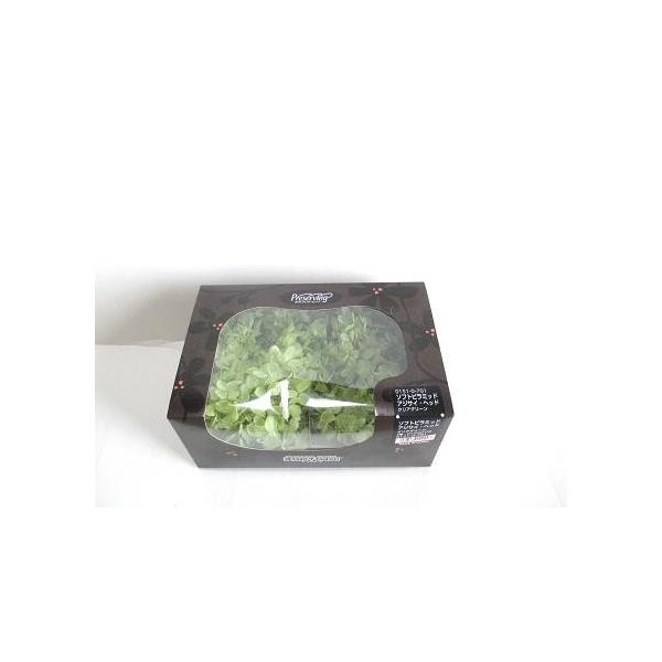 n_/\tgs~bhAWTCwbh NAO[ vU[uht[ ԍ/Q n[oE z  Ԏ