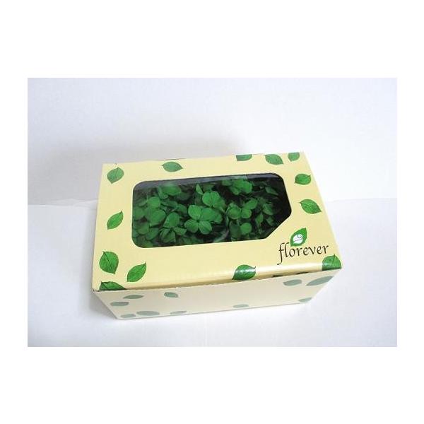 vU[uht[ ԍ  O[ [ AWTC z     n[oE ޗ 