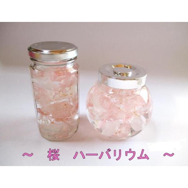 n[oE ybg   ސEj ̓ Mtg   F J[ vU[uht[ Mtg v[g a j