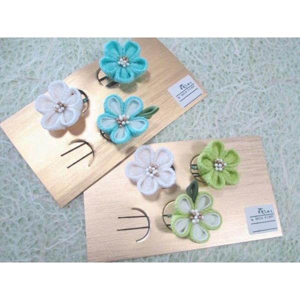 uԂvUp@ԁEԁiUs3{Zbgj