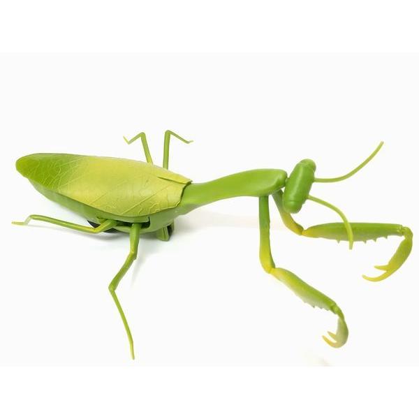送料無料 通常地域 カマキリ ラジコンのおもちゃ赤外線rc 昆虫 生き物 マンティス Buyee Buyee Japanese Proxy Service Buy From Japan Bot Online