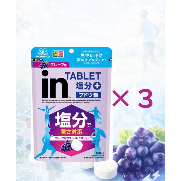 3袋セット　森永製菓 inタブレット 塩分プラス グレープ味 80g　群馬倉庫