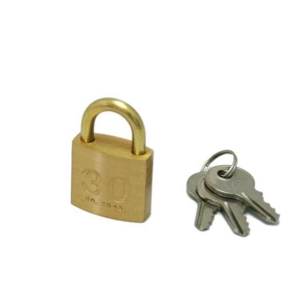 V_[싞Ԏw@@30~@2045D@1@17252@[֑Ήi