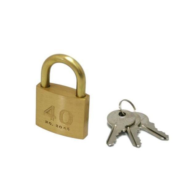 V_[싞Ԏw@@40~@2045D@1@17254@[֑Ήi