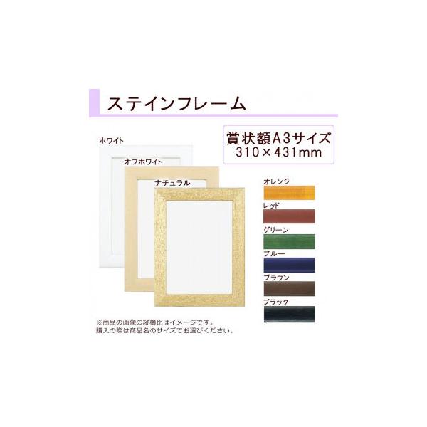 A.P.J. XeCt[(܏TCY) ܏zA3TCY(310×431mm)@IWE0021711913