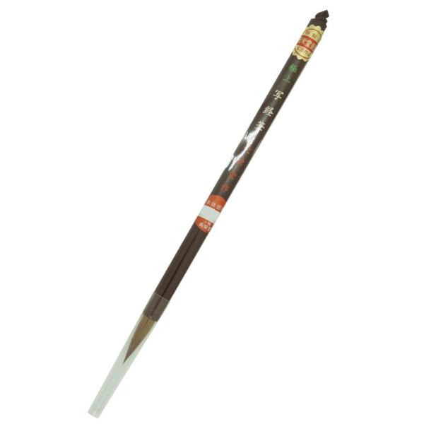 h וM ɏ ʌoM C^` 10860@[֑Ήi