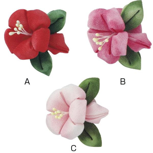 IpX ͂߂Ă̂܂ݍ׍H Lbg nCrXJX̃u[` TZ-9@A@[֑Ήi