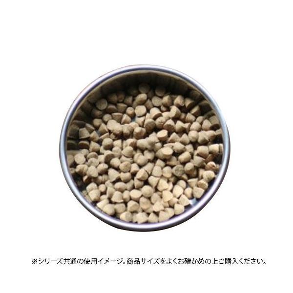 fybg {E XeXH LbgfBbV 12 SS12CD