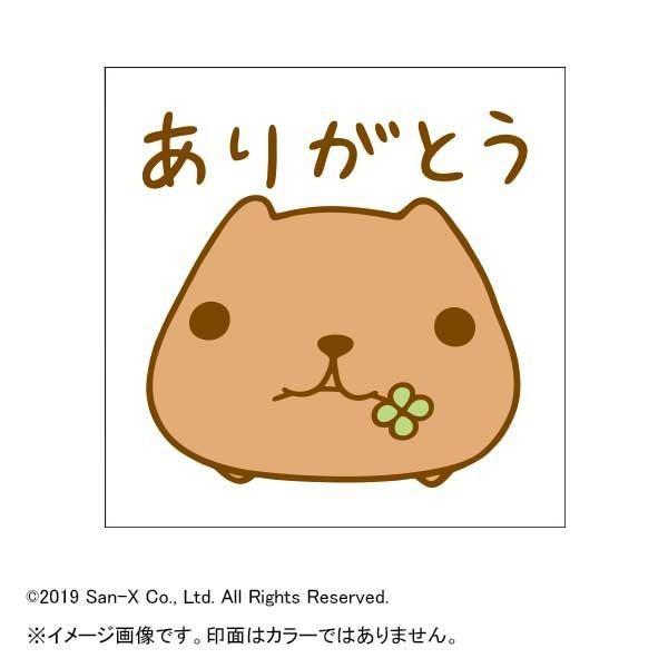 Jsp X^v 肪Ƃ KB550F