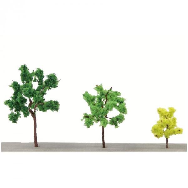 AZTCY c[Zbg 01 Ύ S001