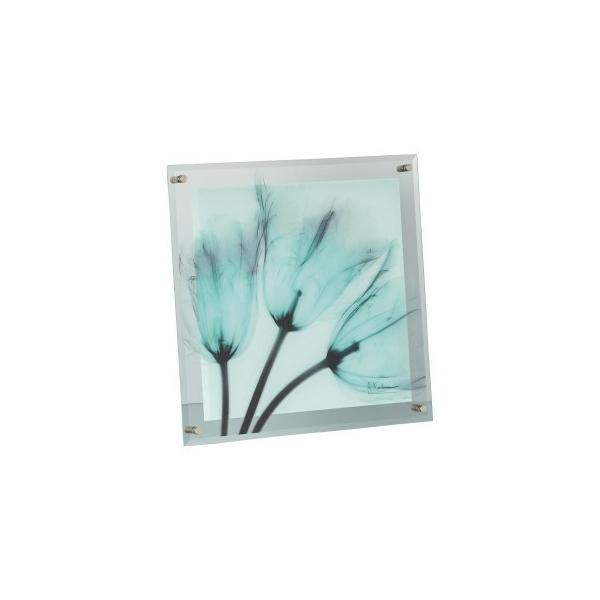 ���� ���[�p���[ X RAY �K���X �A�[�g M�T�C�Y �u�u���[���C�g�`���[���b�v�v XR-05015