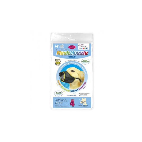 t@^W[[h bV}Y p  No.4 DMM-04@[֑Ήi