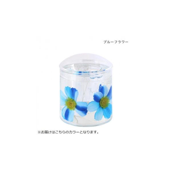 ANȖ_ u[t[ 30120951017