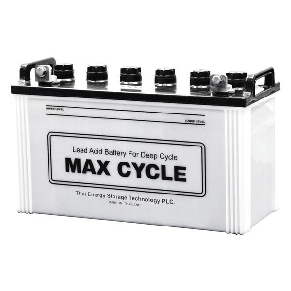 MAX CYCLE マックスサイクル EBサイクルバッテリー EB-100 (LR 端子