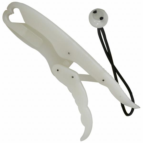 a-next-shop_fish-x-005-wt-01-a