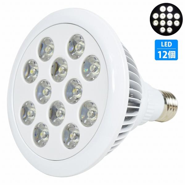 アクアリウム 電球 12 LED 白12 水槽 用 24W スポット ライト E26 口金 照明 交換 植物育成 水草 サンゴ 熱帯魚 照射角90度
