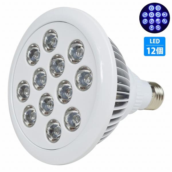 水槽 用 スポット ライト 24W 電球 12LED 青12 口金 E26 アクアリウム 電球 照明 植物育成 水草 サンゴ 熱帯魚 照射角90度