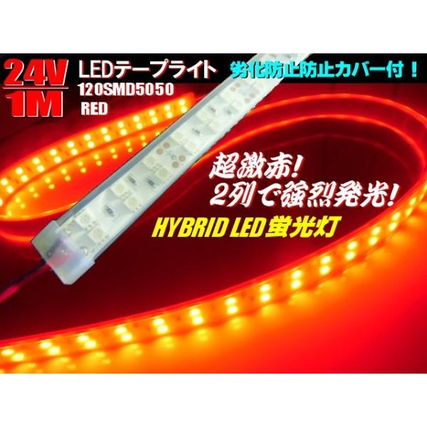 24V / gbN D Dp / Jo[t LED e[vCg u qC / 1M / ԐF bh