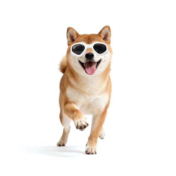 PETLESO 犬サングラス uvカット 小中型犬用ゴーグル 紫外線対策 散歩