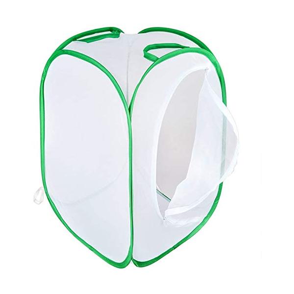 折りたたみ式B 緑辺 ホワイト網 60*40*40CM/-/-・Color:B 緑辺 ホワイト網 60*40*40CM・パッケージ個数:1・昆虫の生息地昆虫ペット、植物、換気を愛する、特定の爬虫類虫取り網の素材も丈夫で、爬虫類と蝶などの繁殖...