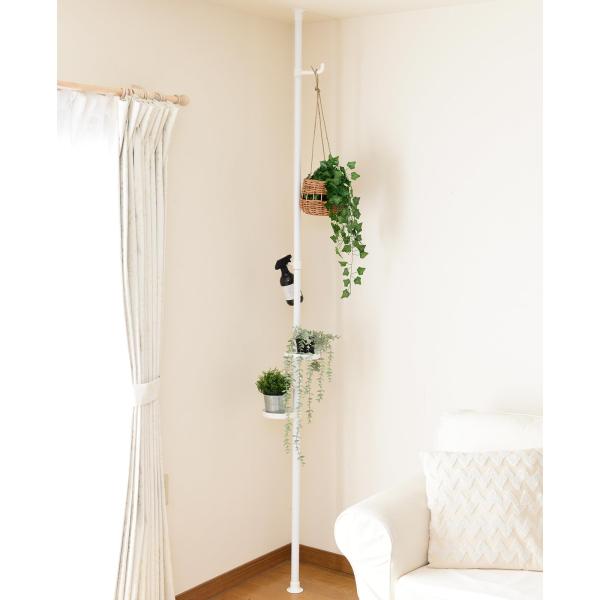 プランタースタンドマットホワイト/7)プランタースタンド/WJE-11RM(MWH)・Color:マットホワイトStyle:プランタースタンド・パッケージ個数:1・場所をとらずに空間を活用突っ張り方式で狭い場所にも設置が、わずかなすき間を収...