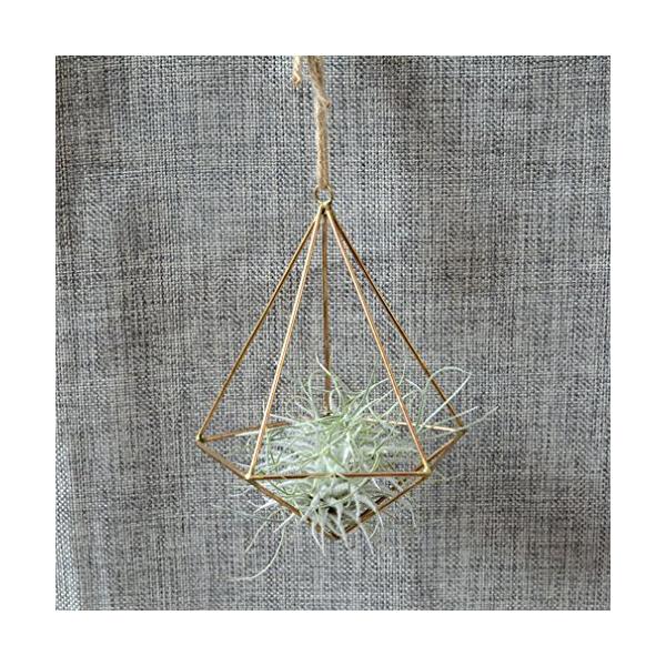 A rustore aru8da4c6bdc3d46c4