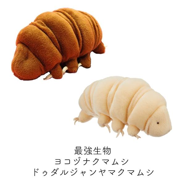 最強生物 ヨコヅナクマムシ ドゥダルジャンヤマクマムシ ぬいぐるみ M ティーエスティーアドバンス TST ADVANCE ぬいぐるみ 人形