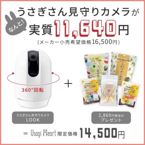 うさぎさん見守りカメラ LOOK リッチェル カメラ うさぎ