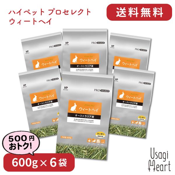 EB[gwC vZNg 600g×6 nCybg `V[ q ClȂ̖q  ~jETM