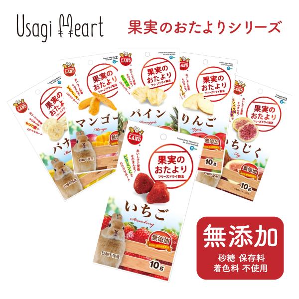 ʎ̂ ~j}h 10g  oii }S[ pC    ̂  ~jETM