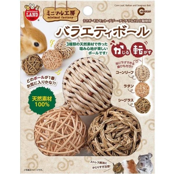 oGeB{[ ~j}h }J   ~jETM lU[hh[t z[hbv