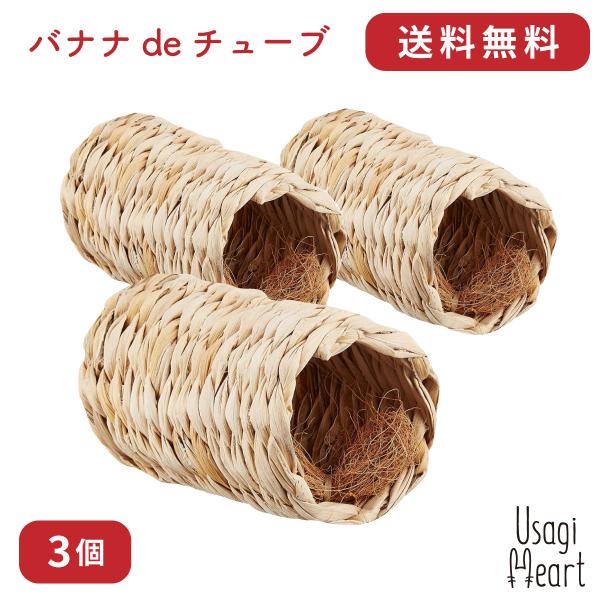 oiide`[u 3 RRibc@ۓ JC   ~jETM lU[hh[t z[hbv